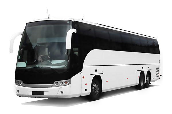 Bus Rental