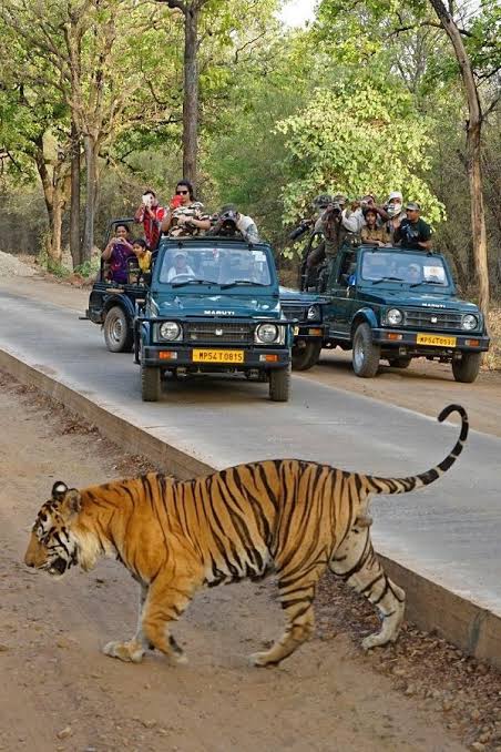 2 days jaipur ranthambore tour package